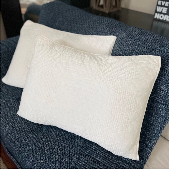 2 Pottery Barn Cotton & Silk Cross Stitch Standard Shams Ivory Cream White Pick - Picture 6 of 9